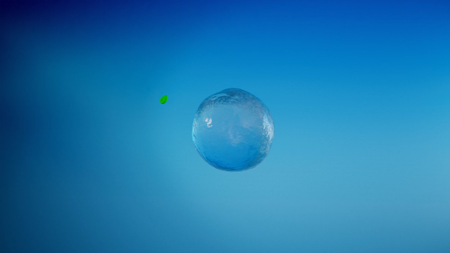 Bloom Visual 01
