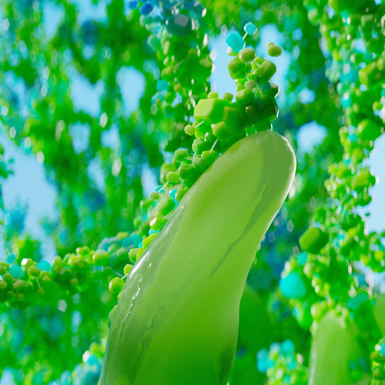 Bloom Visual 09